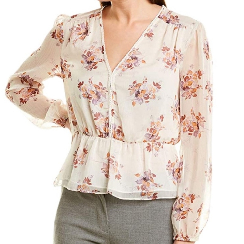 Dressy Sheer Top